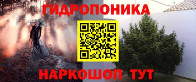 СК Камышлов
