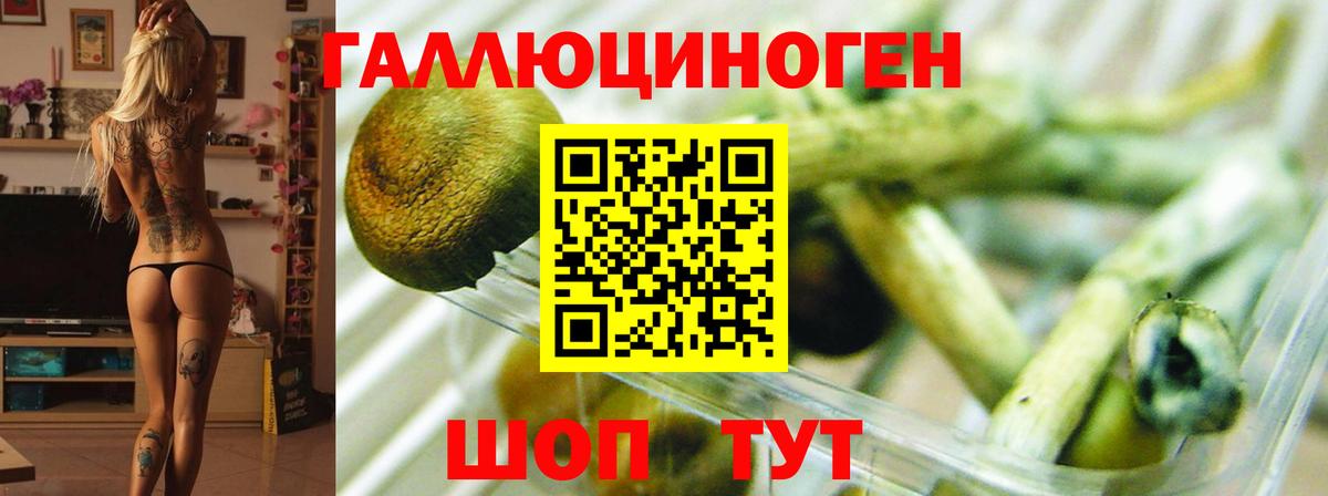 Галлюциногенные грибы Magic Shrooms  Галлюциногенные грибы мицелий  Вход с VPN  Дальнереченск 